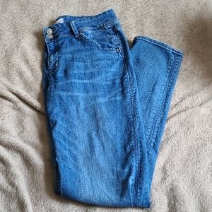 Hudson skinny Jean